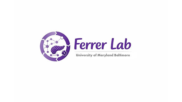 Logo Ferrer LAB.jpg