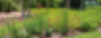 0614221215_edited.jpg