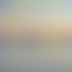 Embracing a Growth Mindset: Key Lessons for Women Over 50