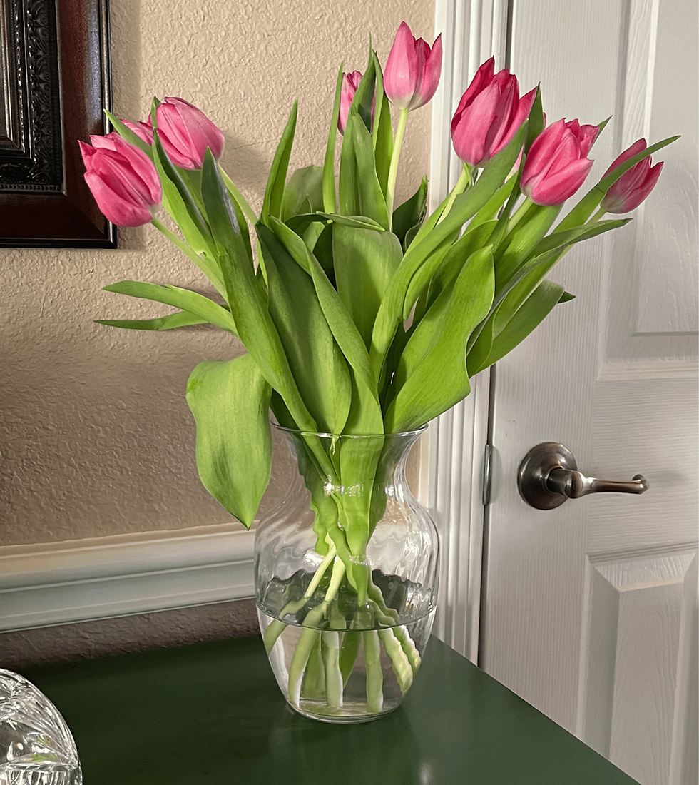 Clear glass vase with pink tulips and green leaves on a dark green table near a beige wall and white door.