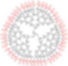 Bis-MPA NHBoc Dendrimer, Generation 4, TMP Core