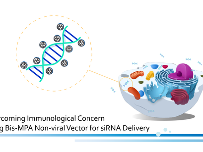 The First Study on Bis-MPA Dendrimers as Non-Viral Vectors for siRNA Delivery