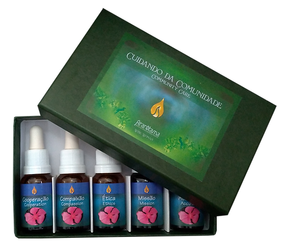 Kit Caixa Cuidando da Comunidade - S�bias.png