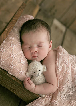 7H3A2630.jpg