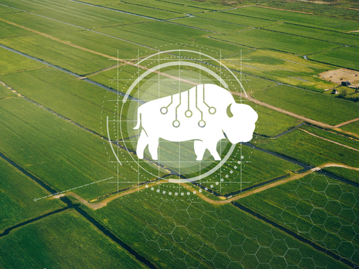 Welcome to Bison Data Labs – Our Journey Begins!