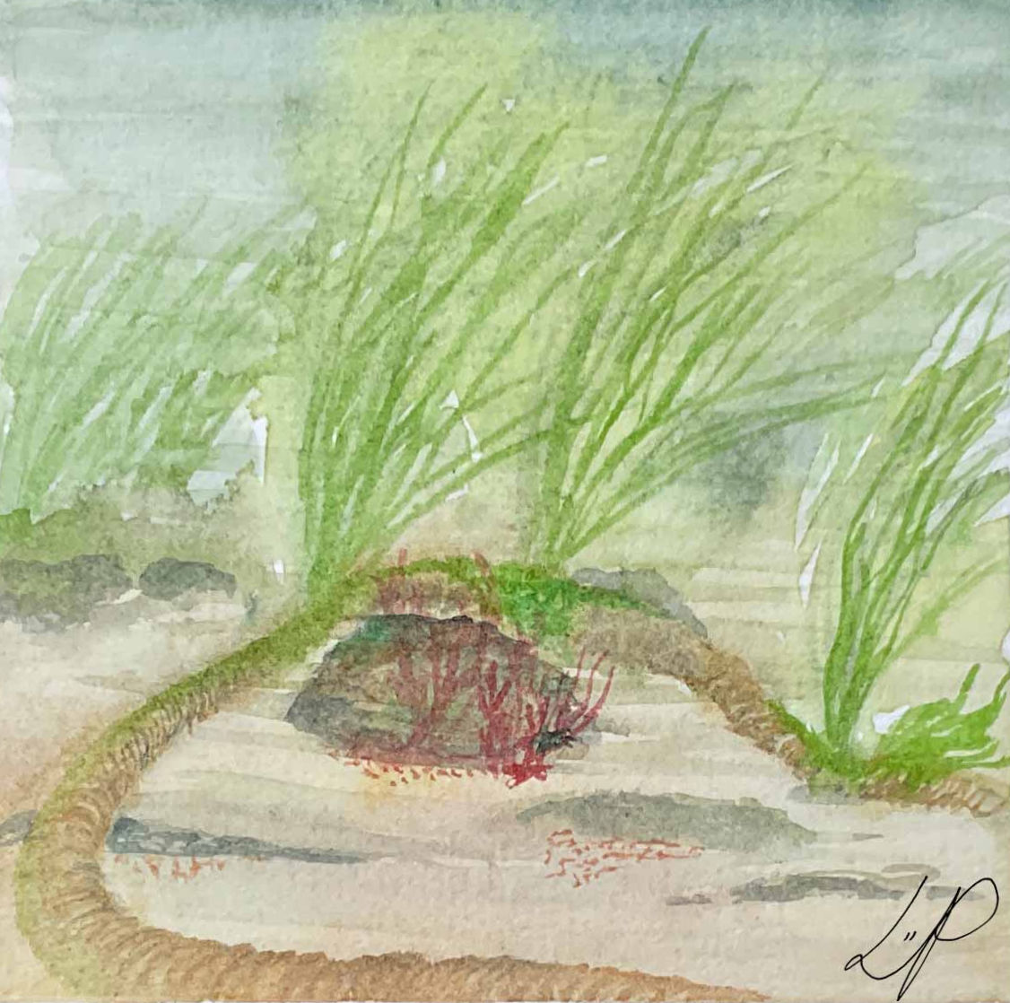Les fragments de mer n°19 aquarelle