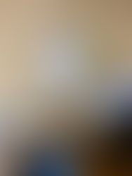 officeが整いました。