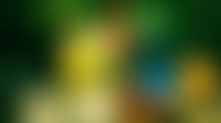 מתחילים מפרק ב' - ההתמודדות עם הנזקים של הגרוש