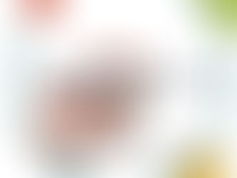 恩疼停健保給付標準