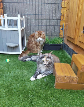 Extérieur d'un chalet