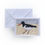 Thumbnail: Oystercatcher Greetings Card
