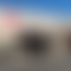 Nihongo no Niwa Students at Nigiro Tea House 2024