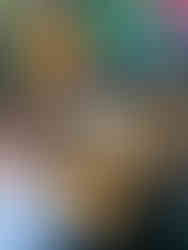 Nihongo no Niwa Japanese Board Game Day at Sword & Board Cape Town