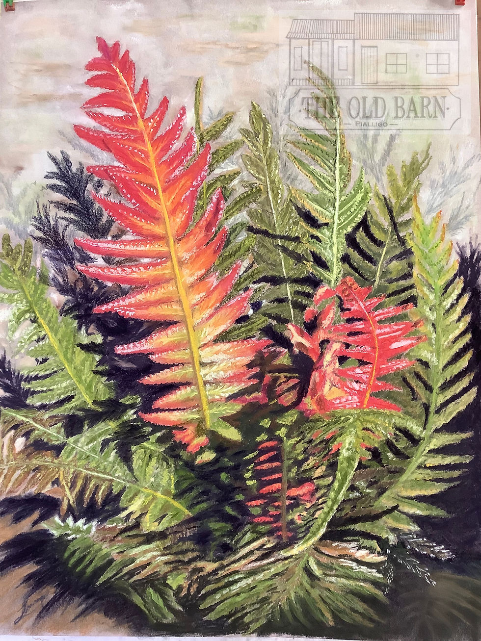 Red and Green fern Watermark