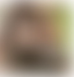 The 3 Best Feeds and Supplements to Give to Your Show Horse