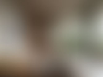 Modern European Estate Architecture - The Primary Bedroom