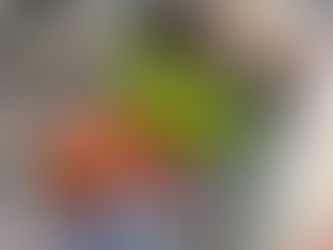 My $100 Weekly Grocery Trip!