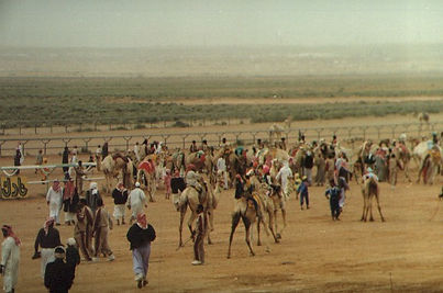 CAMELRC.JPG