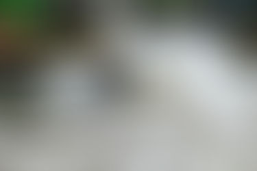 River Surfing: The 7 Best Destinations in the USA