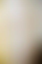 The Best Surfboards to Buy Online