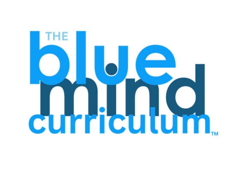 Calling All Surf Therapy Practitioners: Sign Up for the "Blue Mind Curriculum" Today