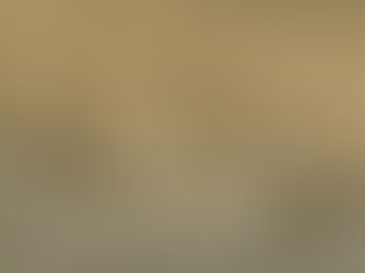 Bank of the West Creates First Disappearing Billboard for a Disappearing Habitat