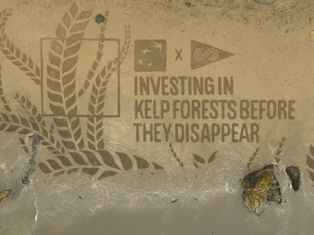 Bank of the West Creates First Disappearing Billboard for a Disappearing Habitat