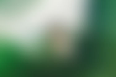 The Best Surf Watches Reviewed