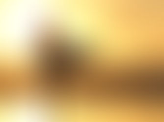 Surf Leash Buyer's Guide for 2026: Brands, Prices Reviews & More