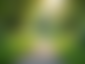 Finding Balance: Pursuing Your Dreams Without Losing Your Peace