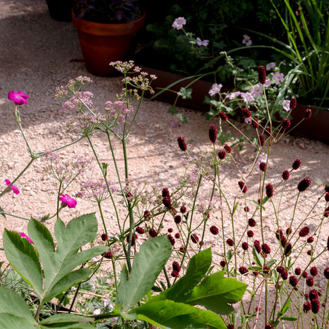 THE ANDALUSIAN GARDEN