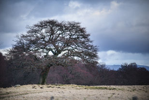 Pitoulish Flyfishing 2017_-119.jpg