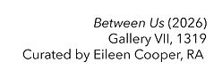 RA Summer exhibition 2026 text - details.jpg