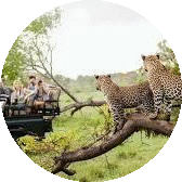 imageedit_1_9496544912.gif