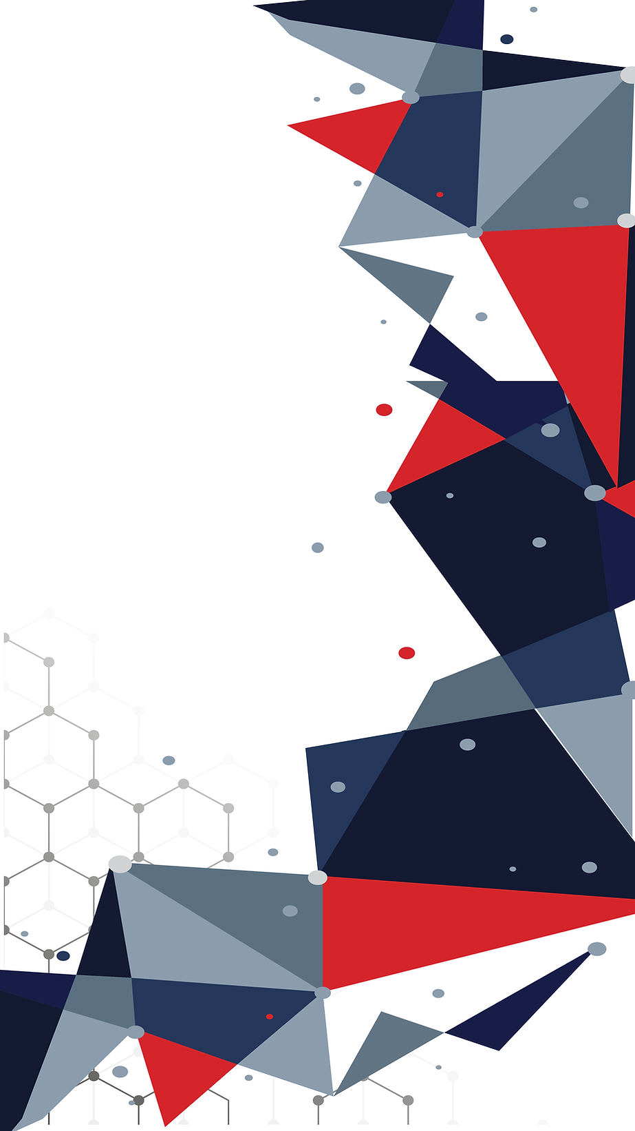 banner web 3.png