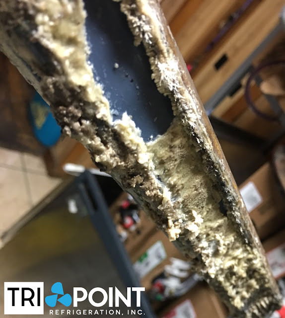 Scale and mold build up on scotsman ice machine