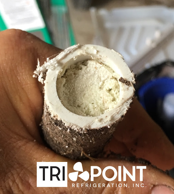 Ice machine drain line completely stopped up with scale build up