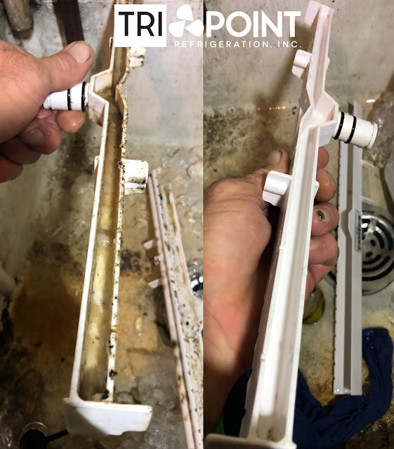 Dirty and moldy manitowoc distribution tube