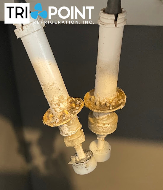 Manitowoc ice thickness and water level probe covered in scale build up