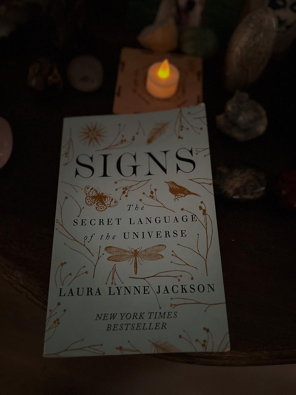 Signs : A Soulingual conversation 