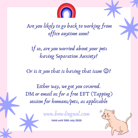 Tapping for Pets and their Human Companions