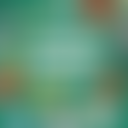 Youth Sports Safety: Keeping Young Athletes Healthy and Injury-Free