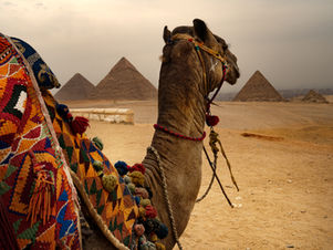 הקמת פורטל ויציאת מצרים...