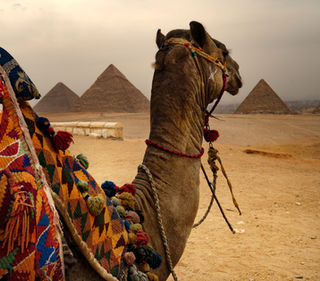 Открытие новых египетских отелей вызвало рост спроса на туры из России в Египет