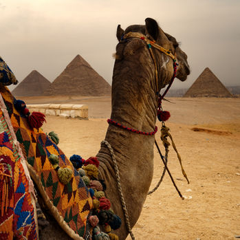Flights to Egypt from $1028 Return