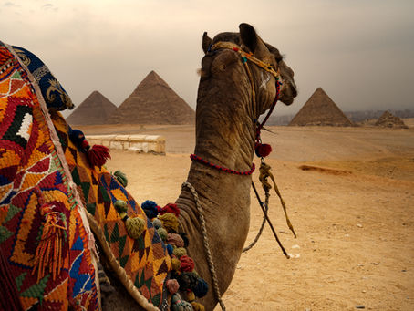 5 Reasons To Travel To Egypt 