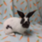 Cadbury