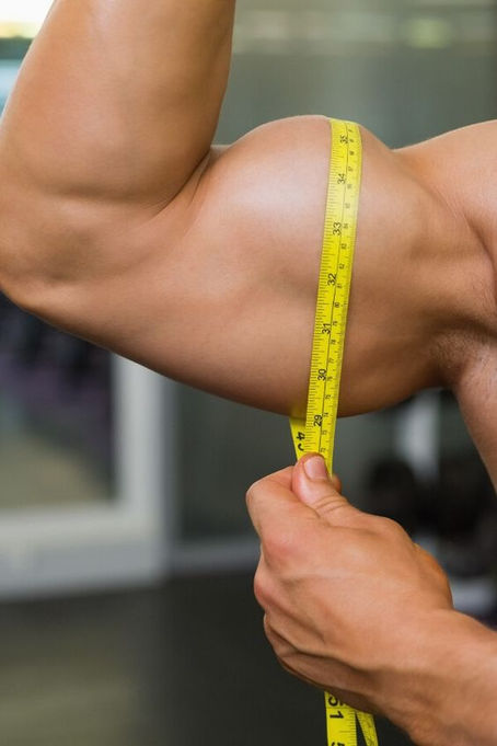 Muscle Up ! Your Essential Nutrition Guide for Building Muscle Mass