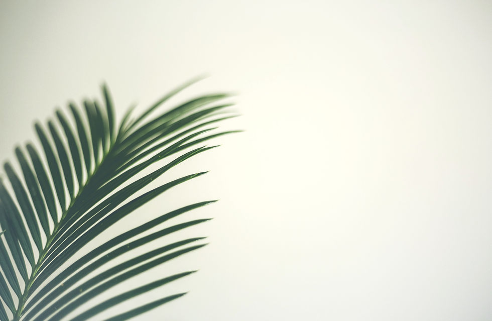 valentin-balan-qMSVzOb6q4g-unsplash_edit