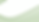 fond vert.png